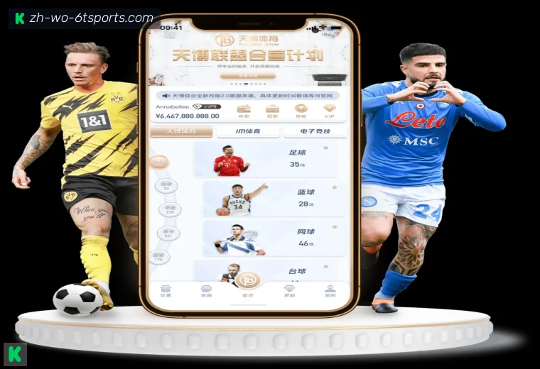 6T体育真人APP